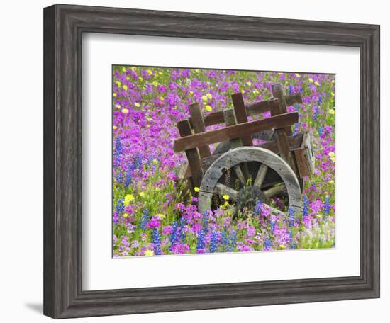 Wooden Cart in Field of Phlox, Blue Bonnets, and Oak Trees, Near Devine, Texas, USA-Darrell Gulin-Framed Photographic Print