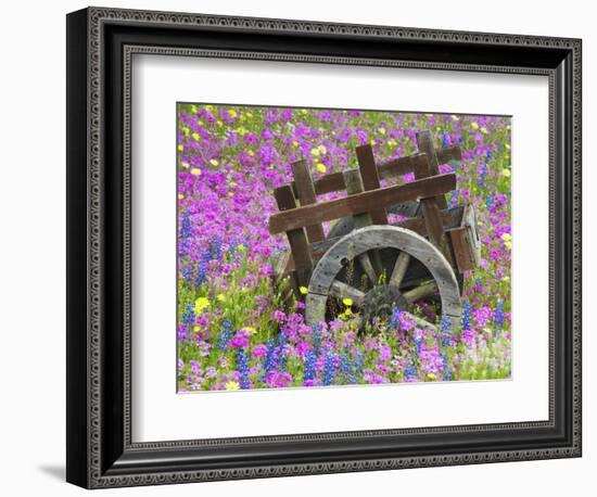 Wooden Cart in Field of Phlox, Blue Bonnets, and Oak Trees, Near Devine, Texas, USA-Darrell Gulin-Framed Photographic Print