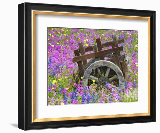 Wooden Cart in Field of Phlox, Blue Bonnets, and Oak Trees, Near Devine, Texas, USA-Darrell Gulin-Framed Photographic Print