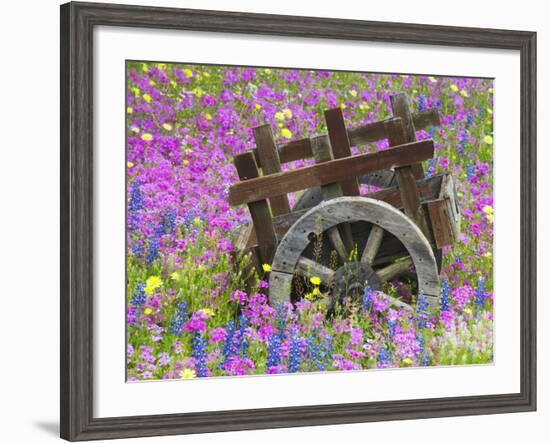 Wooden Cart in Field of Phlox, Blue Bonnets, and Oak Trees, Near Devine, Texas, USA-Darrell Gulin-Framed Photographic Print