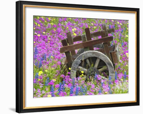 Wooden Cart in Field of Phlox, Blue Bonnets, and Oak Trees, Near Devine, Texas, USA-Darrell Gulin-Framed Photographic Print