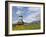 Wooden Church, Fundata, Transylvania, Romania, Europe-Gary Cook-Framed Photographic Print