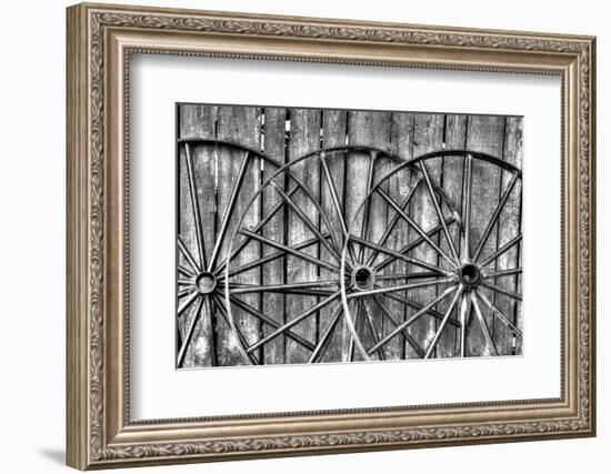 Wooden fence and old wagon wheels, Charleston, South Carolina-Darrell Gulin-Framed Photographic Print