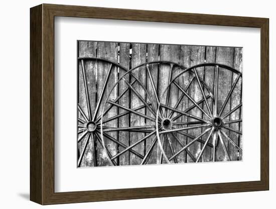 Wooden fence and old wagon wheels, Charleston, South Carolina-Darrell Gulin-Framed Photographic Print