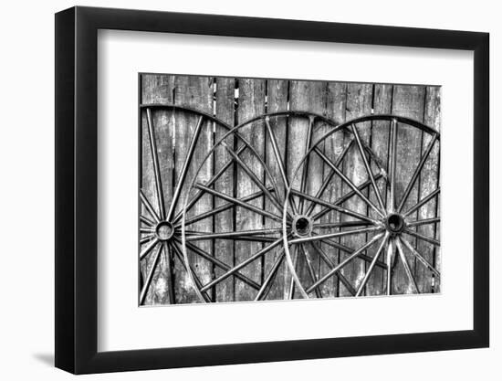 Wooden fence and old wagon wheels, Charleston, South Carolina-Darrell Gulin-Framed Photographic Print