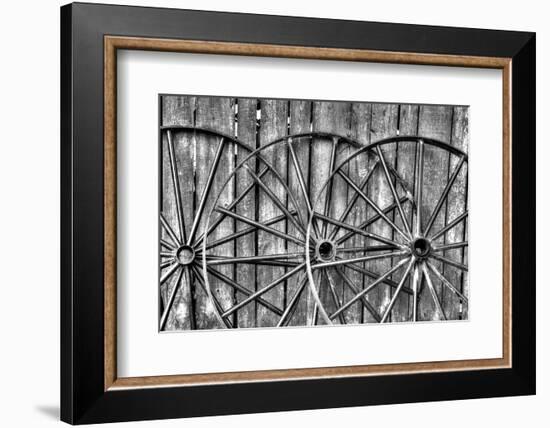 Wooden fence and old wagon wheels, Charleston, South Carolina-Darrell Gulin-Framed Photographic Print