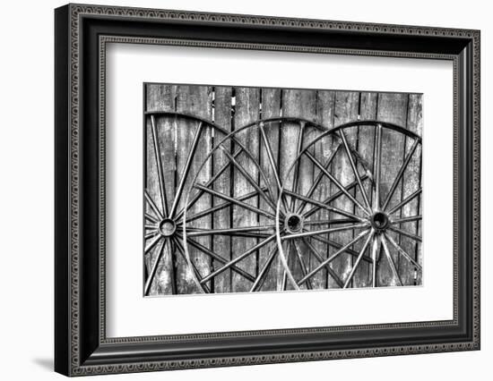 Wooden fence and old wagon wheels, Charleston, South Carolina-Darrell Gulin-Framed Photographic Print