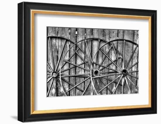 Wooden fence and old wagon wheels, Charleston, South Carolina-Darrell Gulin-Framed Photographic Print