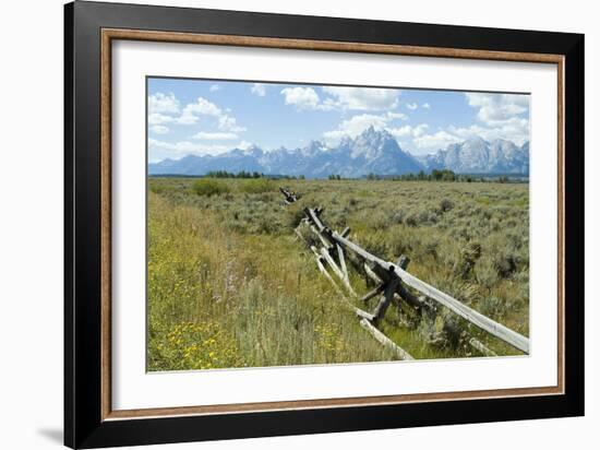Wooden Fence at the Old Cunningham Cottage in Front of the Teton Range, Grand Teton National Park-Natalie Tepper-Framed Photographic Print