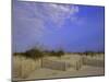 Wooden Fence in the Sand-null-Mounted Photographic Print