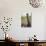 Wooden Fence Post around a Wheat Field, Palouse, Washington, USA-Brent Bergherm-Photographic Print displayed on a wall