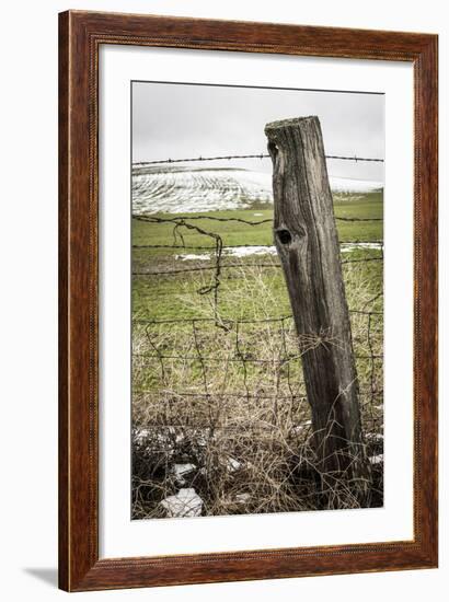 Wooden Fence Post around a Wheat Field, Palouse, Washington, USA-Brent Bergherm-Framed Photographic Print