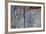 Wooden Fish, Fish, Door, Old-Andrea Haase-Framed Photographic Print