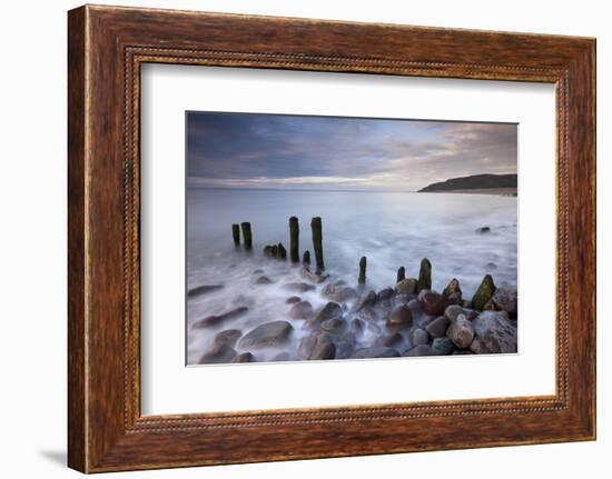 Wooden Groyne on Porlock Beach, Exmoor, Somerset, England. Summer-Adam Burton-Framed Photographic Print