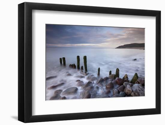 Wooden Groyne on Porlock Beach, Exmoor, Somerset, England. Summer-Adam Burton-Framed Photographic Print