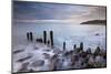 Wooden Groyne on Porlock Beach, Exmoor, Somerset, England. Summer-Adam Burton-Mounted Photographic Print