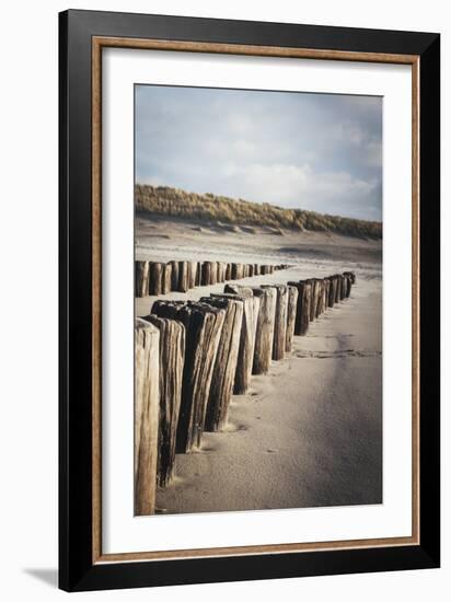 Wooden Groynes on a Sandy Beach, Leading to Sand Dunes, Domburg, Zeeland, the Netherlands, Europe-Mark Doherty-Framed Photographic Print