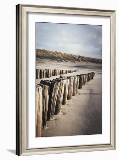 Wooden Groynes on a Sandy Beach, Leading to Sand Dunes, Domburg, Zeeland, the Netherlands, Europe-Mark Doherty-Framed Photographic Print