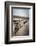 Wooden Groynes on a Sandy Beach, Leading to Sand Dunes, Domburg, Zeeland, the Netherlands, Europe-Mark Doherty-Framed Photographic Print