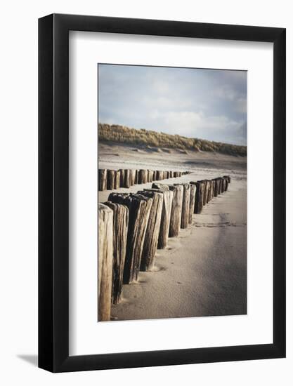 Wooden Groynes on a Sandy Beach, Leading to Sand Dunes, Domburg, Zeeland, the Netherlands, Europe-Mark Doherty-Framed Photographic Print