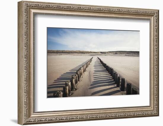 Wooden Groynes on a Sandy Beach, Leading to Sand Dunes, Domburg, Zeeland, the Netherlands, Europe-Mark Doherty-Framed Photographic Print