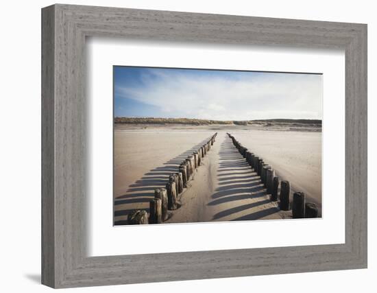 Wooden Groynes on a Sandy Beach, Leading to Sand Dunes, Domburg, Zeeland, the Netherlands, Europe-Mark Doherty-Framed Photographic Print