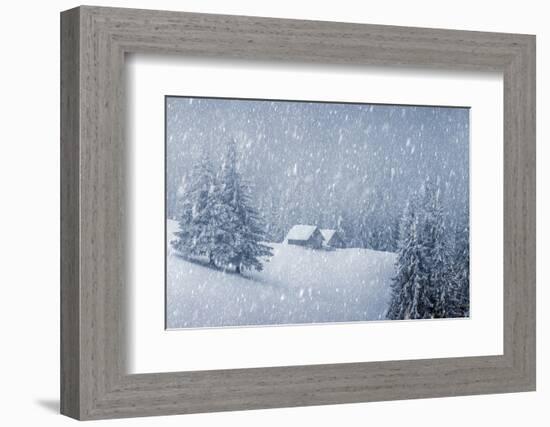 Wooden House in Winter Forest-mr. Smith-Framed Photographic Print