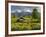 Wooden Hut on the Winkleralm, Lienz Dolomites, East Tyrol, Tyrol, Austria-Rainer Mirau-Framed Photographic Print