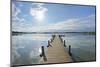 Wooden jetty in the morning with sun, Woerthsee, Fuenfseenland, Upper Bavaria, Bavaria, Germany-Raimund Linke-Mounted Photographic Print