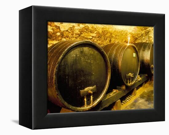 Wooden Kegs for Ageing Wine in Cellar of Pavel Soldan in Village of Modra, Slovakia-Richard Nebesky-Framed Premier Image Canvas