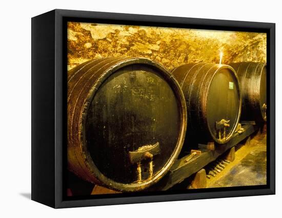 Wooden Kegs for Ageing Wine in Cellar of Pavel Soldan in Village of Modra, Slovakia-Richard Nebesky-Framed Premier Image Canvas