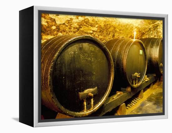 Wooden Kegs for Ageing Wine in Cellar of Pavel Soldan in Village of Modra, Slovakia-Richard Nebesky-Framed Premier Image Canvas