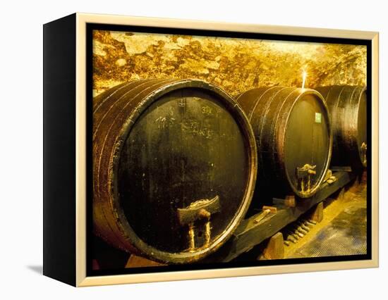 Wooden Kegs for Ageing Wine in Cellar of Pavel Soldan in Village of Modra, Slovakia-Richard Nebesky-Framed Premier Image Canvas