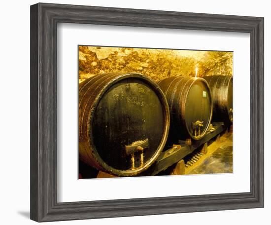 Wooden Kegs for Ageing Wine in Cellar of Pavel Soldan in Village of Modra, Slovakia-Richard Nebesky-Framed Photographic Print