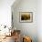 Wooden Kegs for Ageing Wine in Cellar of Pavel Soldan in Village of Modra, Slovakia-Richard Nebesky-Framed Photographic Print displayed on a wall