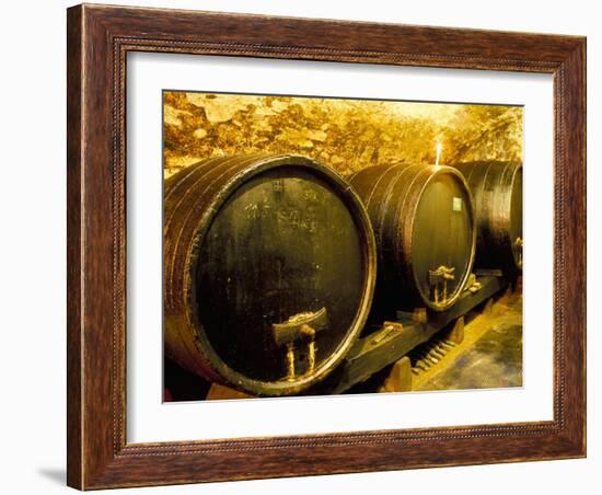 Wooden Kegs for Ageing Wine in Cellar of Pavel Soldan in Village of Modra, Slovakia-Richard Nebesky-Framed Photographic Print