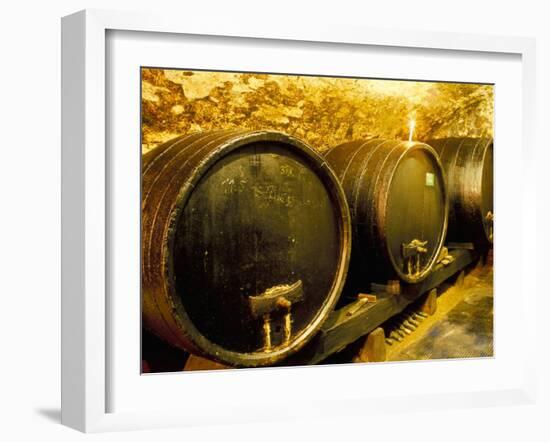 Wooden Kegs for Ageing Wine in Cellar of Pavel Soldan in Village of Modra, Slovakia-Richard Nebesky-Framed Photographic Print