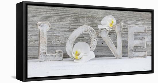Wooden Letters 'Love' with Orchid Blossoms-Uwe Merkel-Framed Premier Image Canvas