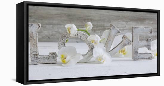 Wooden Letters 'Love' with Orchid Blossoms-Uwe Merkel-Framed Premier Image Canvas