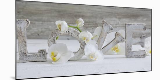 Wooden Letters 'Love' with Orchid Blossoms-Uwe Merkel-Mounted Photographic Print