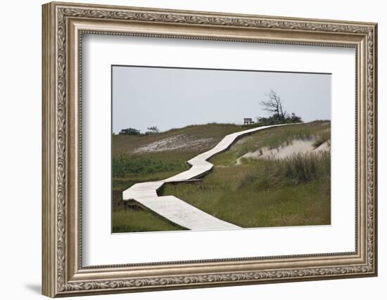 Wooden Path Through the Dune Scenery at Darsser Ort Boat on the Darss Peninsula-Uwe Steffens-Framed Photographic Print