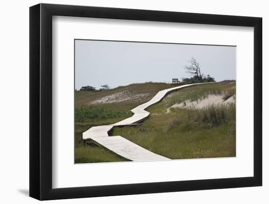 Wooden Path Through the Dune Scenery at Darsser Ort Boat on the Darss Peninsula-Uwe Steffens-Framed Photographic Print