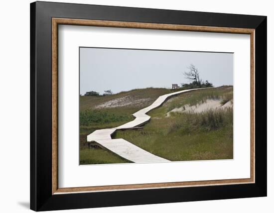 Wooden Path Through the Dune Scenery at Darsser Ort Boat on the Darss Peninsula-Uwe Steffens-Framed Photographic Print