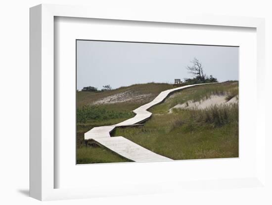 Wooden Path Through the Dune Scenery at Darsser Ort Boat on the Darss Peninsula-Uwe Steffens-Framed Photographic Print