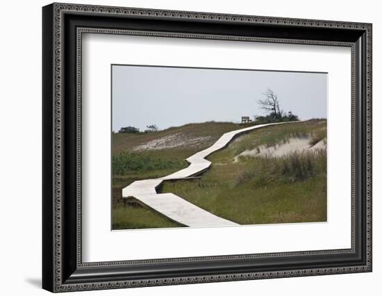 Wooden Path Through the Dune Scenery at Darsser Ort Boat on the Darss Peninsula-Uwe Steffens-Framed Photographic Print