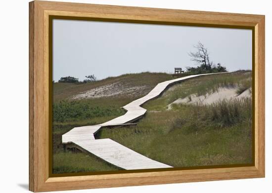 Wooden Path Through the Dune Scenery at Darsser Ort Boat on the Darss Peninsula-Uwe Steffens-Framed Premier Image Canvas