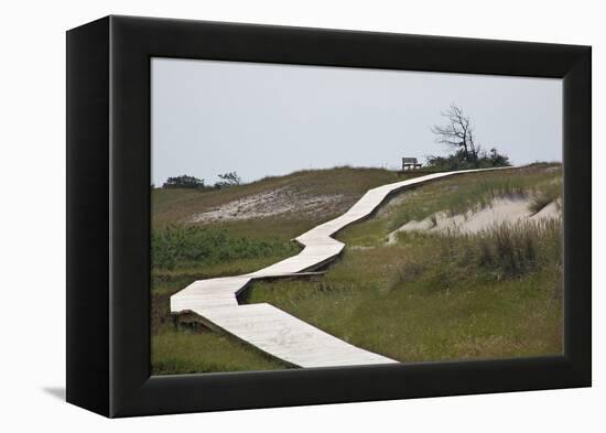 Wooden Path Through the Dune Scenery at Darsser Ort Boat on the Darss Peninsula-Uwe Steffens-Framed Premier Image Canvas