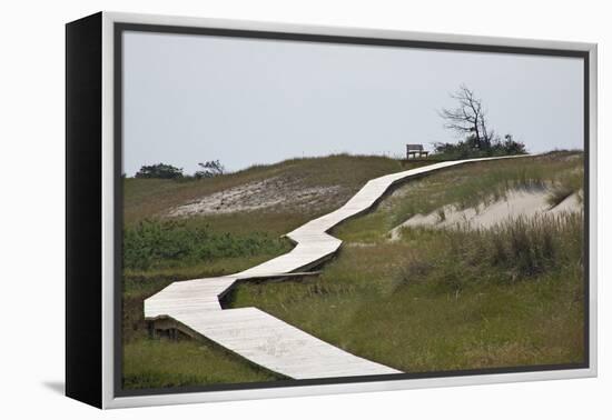 Wooden Path Through the Dune Scenery at Darsser Ort Boat on the Darss Peninsula-Uwe Steffens-Framed Premier Image Canvas