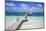 Wooden Pier, Playa El Paso, Cayo Guillermo, Jardines Del Rey, Ciego De Avila Province-Jane Sweeney-Mounted Photographic Print