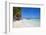 Wooden Red Jetty, Playa El Paso, Cayo Guillermo, Jardines Del Rey, Ciego De Avila Province-Jane Sweeney-Framed Photographic Print